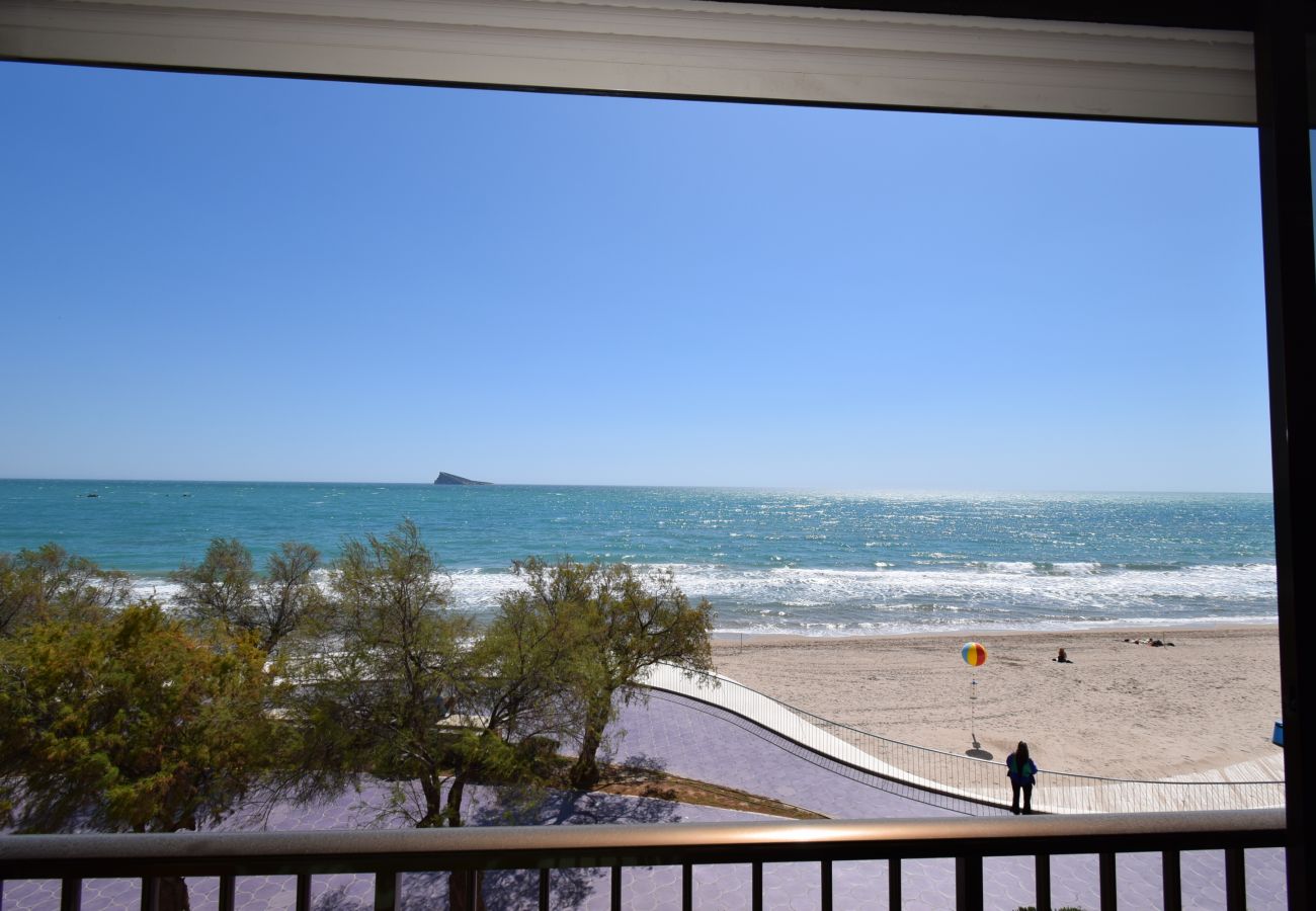Apartment in Benidorm - BENIBEACH (1 DORMITORIO) Apartment in Benidorm - BENIBEACH (1 DORMITORIO)