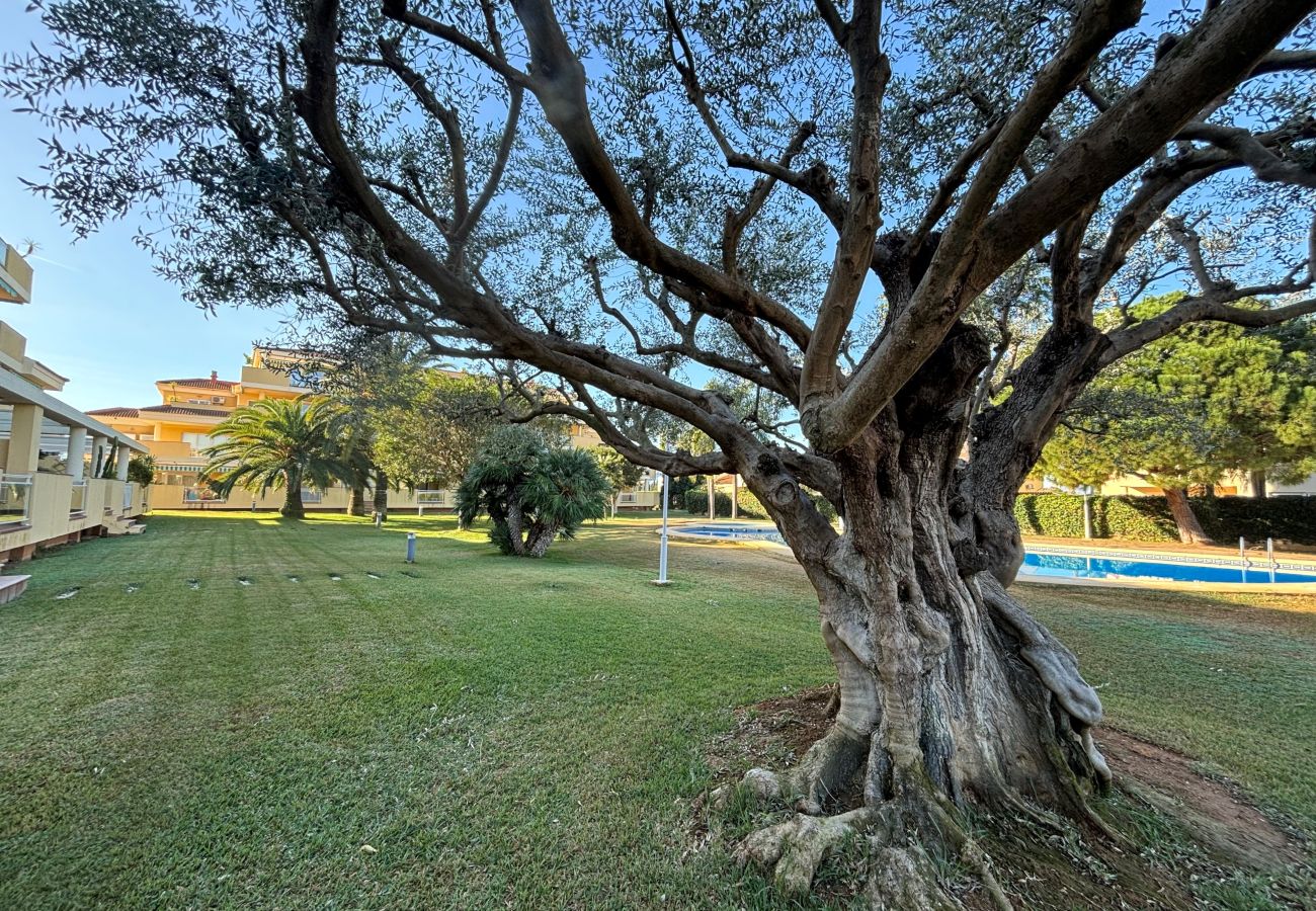 Apartment in Denia - CLEMENVILLAIII Apartment in Denia - CLEMENVILLAIII