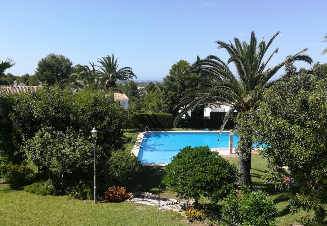 Appartement à Pedreguer - LA SELLA - ALMENDROS Appartement à Pedreguer - LA SELLA - ALMENDROS