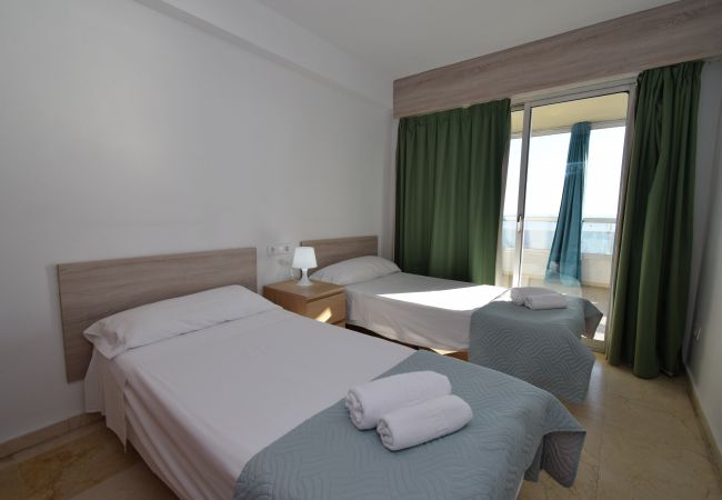 Appartement à Benidorm - CAROLINA (1 DORMITORIO) Appartement à Benidorm - CAROLINA (1 DORMITORIO)