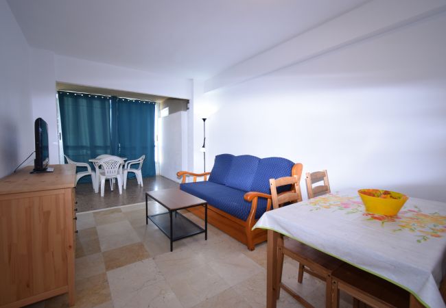 Appartement à Benidorm - CAROLINA (1 DORMITORIO) Appartement à Benidorm - CAROLINA (1 DORMITORIO)