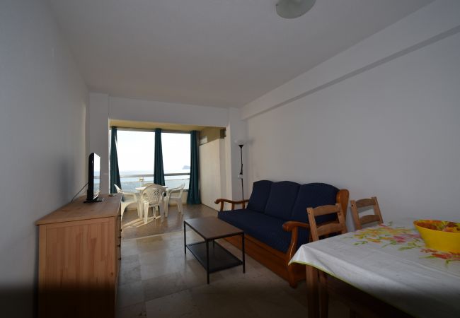 Appartement à Benidorm - CAROLINA (1 DORMITORIO) Appartement à Benidorm - CAROLINA (1 DORMITORIO)