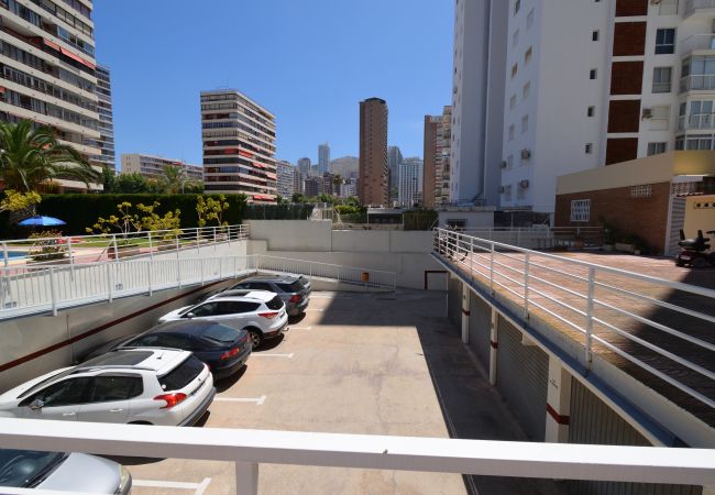 Appartement à Benidorm - CAROLINA (1 DORMITORIO) Appartement à Benidorm - CAROLINA (1 DORMITORIO)