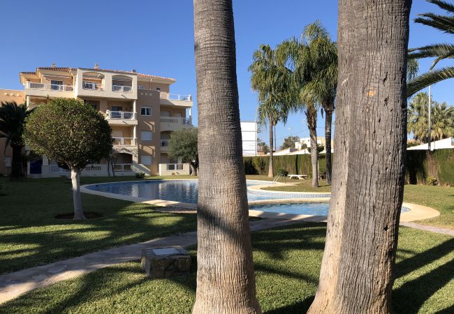 Appartement à Denia - EL HORT Appartement à Denia - EL HORT