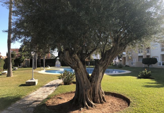 Appartement à Denia - EL HORT Appartement à Denia - EL HORT