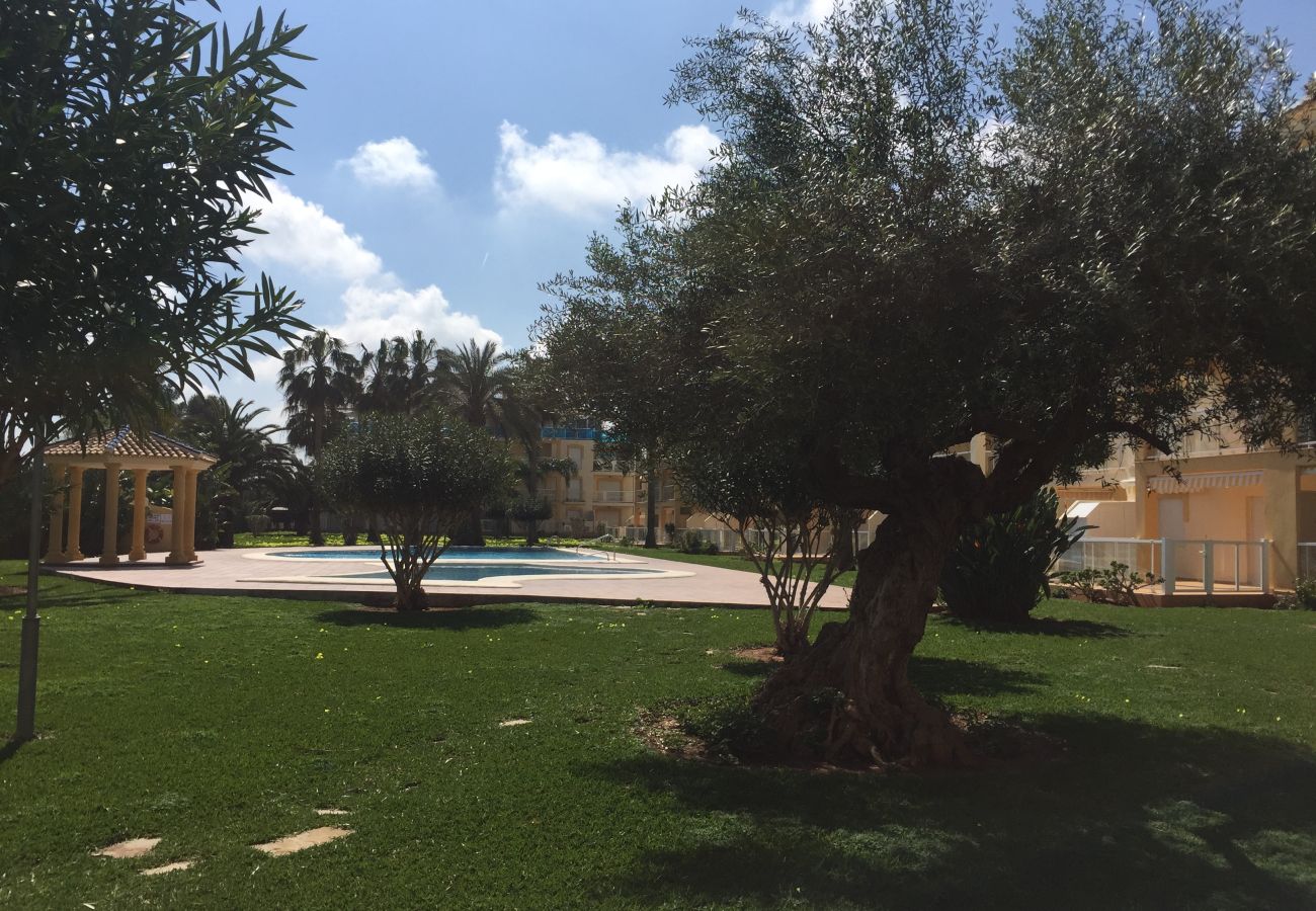 Appartement à Denia - LA RIVIERA Appartement à Denia - LA RIVIERA